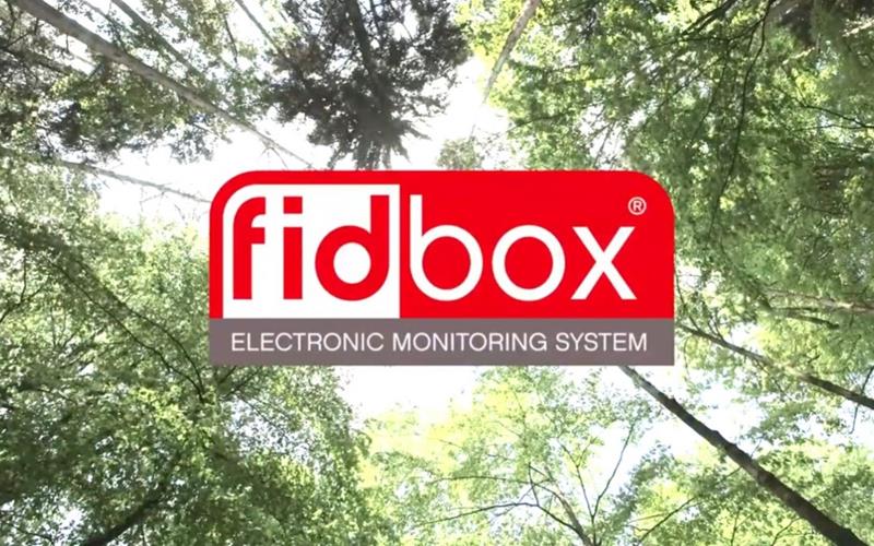 fidbox - Floorprotector - News :  Floorprotector