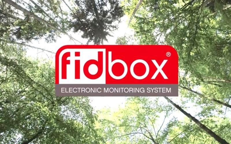 fidbox - Floorprotector - Floorprotector